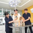 대구축산 동물병원 이미지