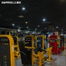 머슬맥 휘트니스클럽 네이버블로그