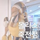 이마트 죽전점 몰리스 이미지