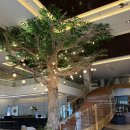 호텔시티(HOTEL. CT) | 막탄공항근처 가성비 숙소 세부시티 마요호텔 maayo hotel 솔직후기 +조식, 수영장