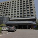 그린라인 이미지