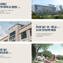 메디메다 이미지