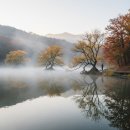 해성여관 | [한국관광 100선] 300년 마르지 않는 신비! 영화 '봄여름가을겨울' 속 몽환적인 풍경, 청송 주산지