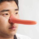 피노키오 쇼핑하우