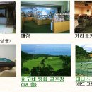 동경스포츠