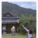 단양의아침 이미지