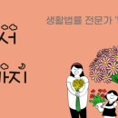 법무사유영형사무소
