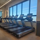 보떼 짐 이미지