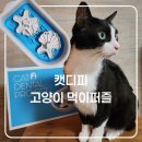 (주)티피디자인 | [캣디피]고양이 먹이퍼즐 추천-혼자 놀기 어렵지 않아요🐾