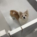 창원 가로수길 소품샵 밍코아카브이 내돈내산 또 쿠지 뽑으러 가다 키키라라 슈퍼마리오