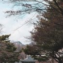 종로-현장-종로-세-208 | 서울여행 경희궁, 돈의문 박물관마을 주차 팁 입장정보
