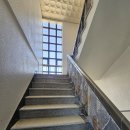 일산애견스쿨 이미지