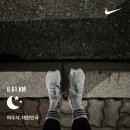 여전한 폭염 속 금목수 향이 풍기기 시작하는 9월 마지막 주 일상