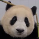 (주)이좋은세상 이미지