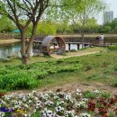 한밭수목원 이미지