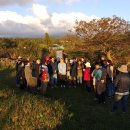 동굴에 평화의 동백이 이미지