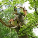 자연속의 집 이미지