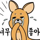 30센치옛날수제왕돈가스 이미지