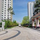 광남초등학교 - 수영구 | 남천 금호어울림더비치 광남초등학교 임장