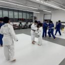 세종체육도장 이미지