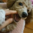[10/21~11/30 일상] 인생은 캥거루🦘
