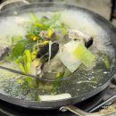 묵호항회집 | 묵호 아침식사 선명회식당 곰치국 복지리 맛집 묵호항횟집 혼밥가능 뚜벅이여행코스