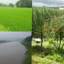 밤두둑마을 이미지