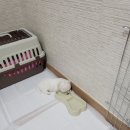 아르필의원 이미지