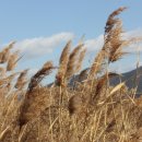 장산영농조합 이미지