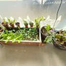 옥계남로-2 이미지