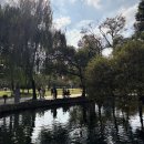 광한루원 | 남원 광한루원 방문 후기