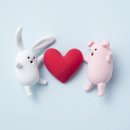 도담컴퍼니 이미지