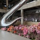 데이스테이 이미지