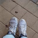 해진유통 이미지