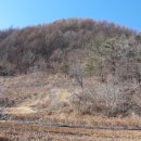 양지좌사 이미지