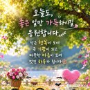 " 의식 있는 진화 " 이미지