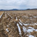 시종면사무소 이미지