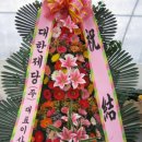 대한제당(주) 이미지