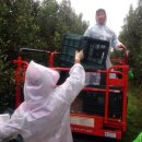 새천년농원 이미지