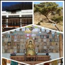대구 팔공산 묘향사 이미지