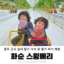 스윙베리 | 내돈내산 광주 근교 화순 아이랑 실내 딸기 체험 시식가능한 스윙베리 예약 및 후기