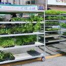 대소 시장 고객지원센터 이미지