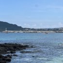 제주호시담 이미지