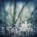 흐르는물 이미지