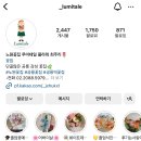 루미테일플라워 이미지