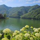 참살이콩이야기 이미지