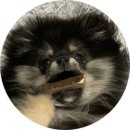 두젠틀(DOGENTLE) 이미지