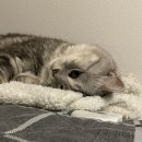 참길이비인후과의원 네이버블로그