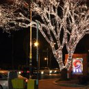 광명여성합창단 정기공연 이미지