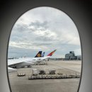 A350 | 프랑크푸르트 인천행 아시아나 에어버스A350 후기